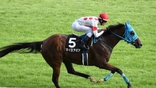 【競馬】アイビスSDは軽量馬を狙うのが鉄則 潜在的な千直適性を秘める伏兵の一発に期待