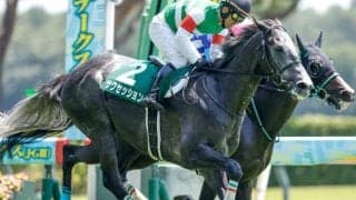 【新潟JS予想】3連続障害を3回通過 センスと脚力問われる一戦