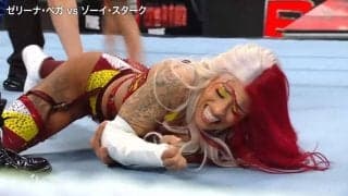 ひどすぎる、女子レスラーが苦悶…ギプス固定の腕を容赦なく攻撃 ファン騒然