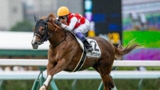 【札幌5R新馬戦結果】モーリス産駒アルテヴェローチェが人気に応えてV