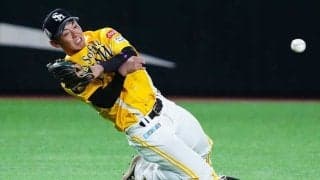 “ダイビング回転爆送球”が「凄すぎる」　衰え知らずの33歳に衝撃「お金払う価値ある」