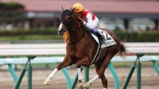 【新馬/札幌5R】武豊騎乗 アルテヴェローチェが人気に応える