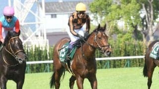 【アイビスSD予想】近年は波乱続きの新潟名物重賞！ 前走で人気薄だった馬の取り扱いにはご注意を