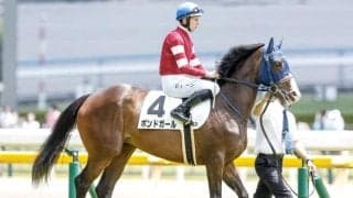 【クイーンS予想】幅広い年齢の馬が活躍する一戦！ 軽量で過大評価されやすい3歳馬の取捨がポイント