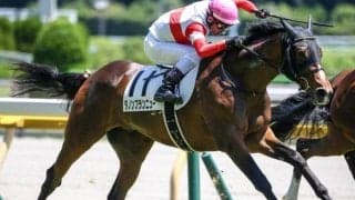 半姉は名牝スターズオンアース 福永厩舎のダノンブランニューが必勝期す