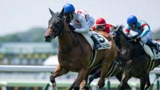 重賞2勝ミッキーチャームの初仔 ミッキースピネルがデビュー2連勝なるか