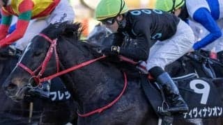 アイビスSDは道悪で超外枠有利 ディヴィナシオンで好配ゲットだ