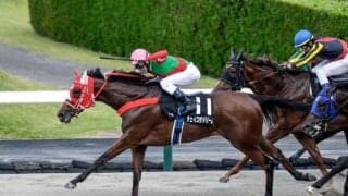 【アイビスSD前日オッズ】チェイスザドリームが3.4倍で1番人気