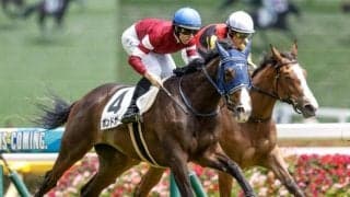 【今日の注目ポイント】札幌でクイーンSと新潟でアイビスSD