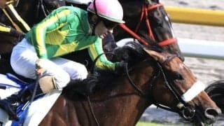 近親に活躍馬ズラリ カラマティアノスが川田騎手でデビューV狙う