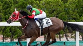 【アイビスSD予想】“新潟名物”が今年もやってくる 特殊なコース設定だけに適性と枠順がカギ