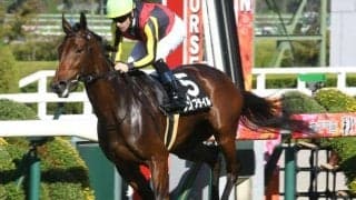 クイーンSは内で運べる馬が有利 ウンブライル＆ルメール騎手の差し切りだ