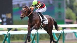 【新馬/札幌5R】佐々木大輔騎手が3連勝…ファイアンクランツが新馬勝ち
