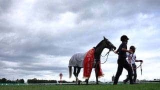 【クイーンS】丹内「バネもあって凄く良い馬」コガネノソラが重賞初制覇