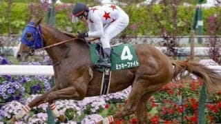 新潟でレパードSと札幌でエルムSのダート2重賞/今週の競馬界の見どころ