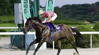【佐賀・吉野ヶ里記念】テイエムフェローが2馬身差完勝