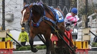 【ばんえい十勝】鈴木恵介騎手が通算3500勝達成…「積み重ねてきた結果」