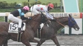 【レパードS登録馬】ミッキーファイトなど17頭