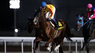 【エルムS登録馬】ミトノオーなど18頭