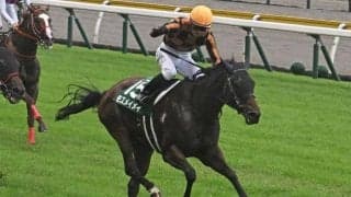 【アイビスSD】売上は68億5051万8800円で昨年より約4億円増加