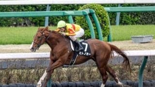 【エルムS見どころ】実力馬ミトノオーの連勝に期待