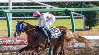 【レパードS見どころ】前走が不完全燃焼だったミッキーファイトが鬱憤を晴らす