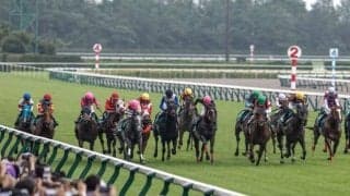 競馬場を離れて温泉やラーメン屋に行く人も!? ファンは“競走休止時間帯”をどう過ごしていた？ 