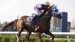 【大井・サンタアニタT枠順】重賞初制覇がかかるオメガレインボーは6枠10番