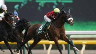 【先週のJRA抹消馬】18年の共同通信杯覇者オウケンムーン、ダート短距離で活躍のアティードなど