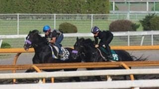 きょうだいにステルヴィオやウンブライル マイル適性が高そうなジェゼロ/関西馬メイクデビュー情報