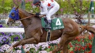 【AI予想・レパードS】直線一気は割引!? 前走のレースぶりが光る本命候補3頭とは