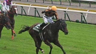 “サンデー系初”のアイビスSD勝利を飾ったモズメイメイ 血統に秘められた「千直適性」とは