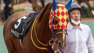 ダートGIを9勝した兄・エスポワールシチーが2着に敗れた舞台 名馬の弟がエルムSで初タイトル獲得なるか