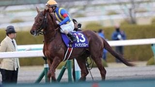 7月30日はプロレス記念日！プロレスが由来となった馬を紹介