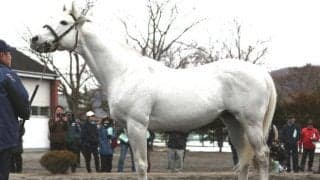 ダンカークが種牡馬を引退 イーストスタッドが発表