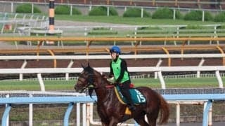 シドニーホバートなど、先週のゲート試験/栗東トレセンニュース