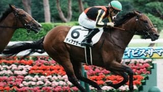 【新馬/新潟3R】ディアナザールが人気に応えてデビュー勝ち…母はドナウブルー