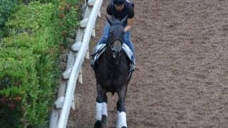 サウンドビバーチェなど、先週の入厩情報/栗東トレセンニュース