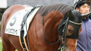 3年目期待の若手が5度目の挑戦で重賞初Vへ コンビ3戦2勝の相棒とレパードSに挑戦