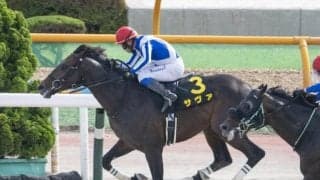 【エルムS展望】前走内容秀逸なサヴァの連勝を期待