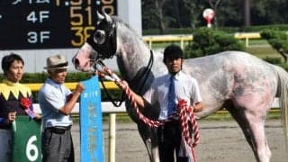 始まりは新潟から 白毛初のJRA競馬重賞制覇から5年