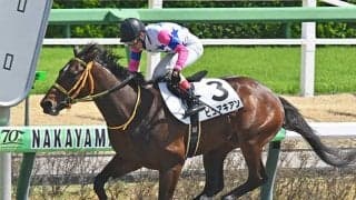 父は12年前の覇者ホッコータルマエ レパードSで史上初の父仔制覇に挑戦