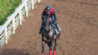 ジレトールなど、クラスターC追い切り速報/栗東トレセンニュース