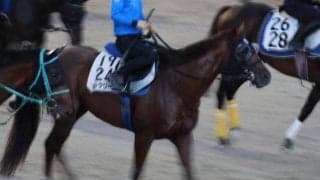 ボッケリーニ、札幌記念追い切り速報/栗東トレセンニュース