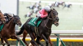 【関屋記念想定】サクラトゥジュール、トゥードジボンなど17頭