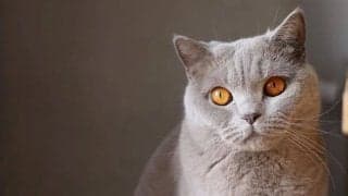 目周りの乾燥としわを防ぐ！アイケアの方法