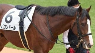 一族には三冠馬など活躍馬ズラリ！ 血統馬が前走海外6着から巻き返しを狙う