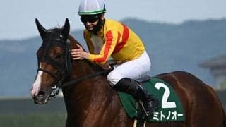 今回もハナは譲らない！ 現役屈指の逃げ馬がエルムSで重賞連勝狙う