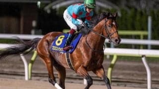 大器プロミストウォリアが1年1カ月ぶり復帰 エルムSで重賞3勝目なるか