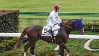 【レパードS予想】AIでも妙味ある伏兵は見当たらず!? 人気上位が確実な一頭を推した理由とは